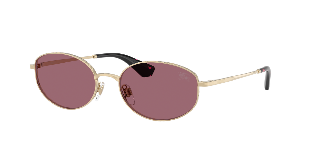 BE3169 - 11091A sunglasses - view 3
