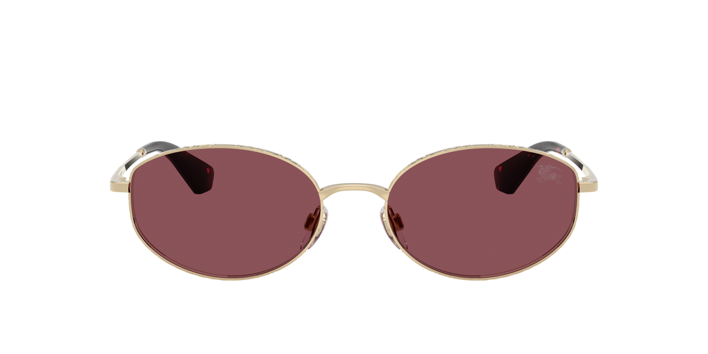 BE3169 - 11095Q sunglasses - view 2