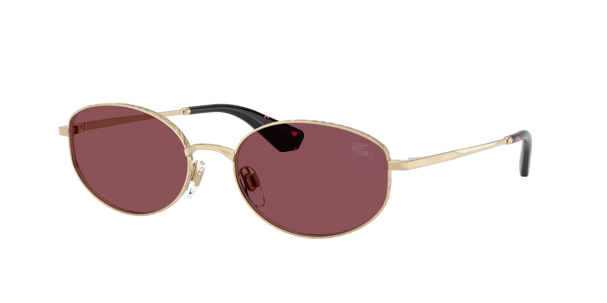 BE3169 - 11095Q sunglasses - view 3
