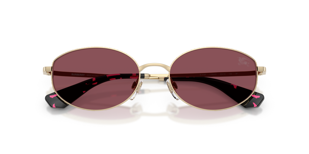 BE3169 - 11095Q sunglasses - view 5
