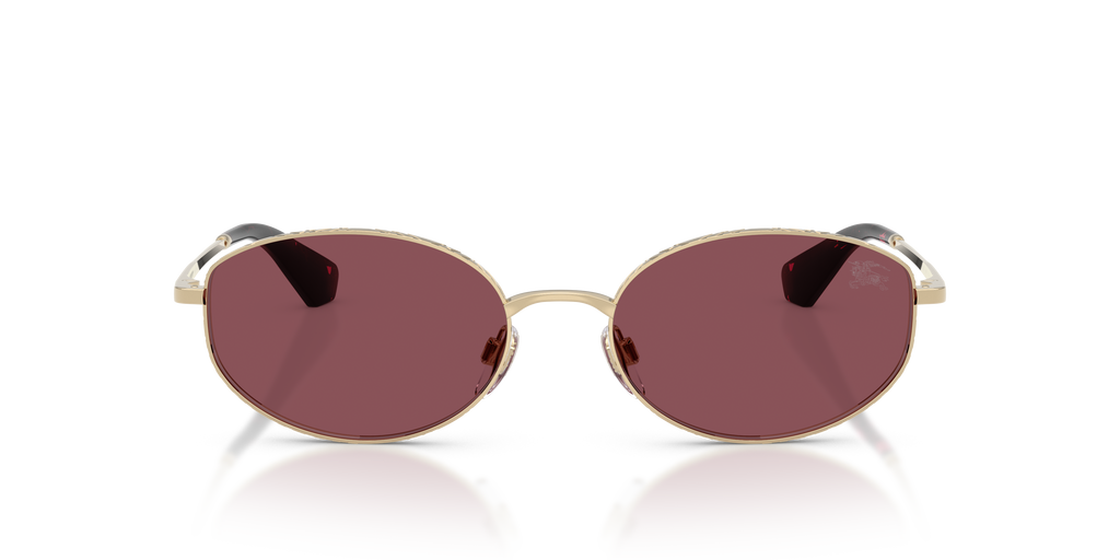 BE3169 - 11095Q sunglasses - view 6