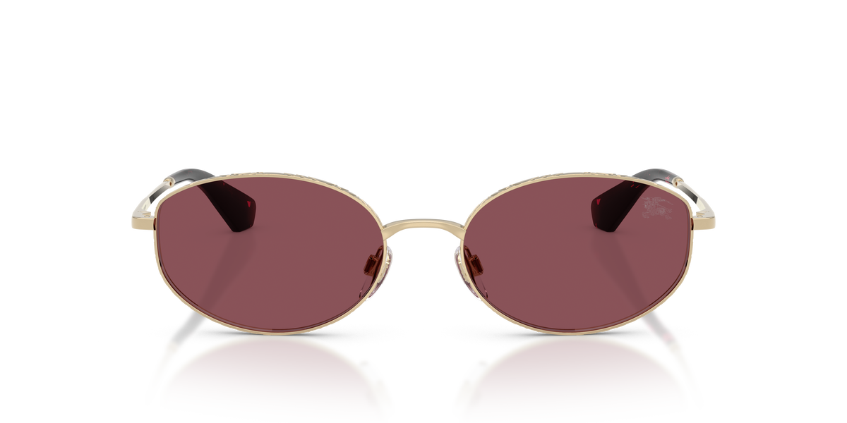 BE3169 - 11095Q sunglasses - view 6