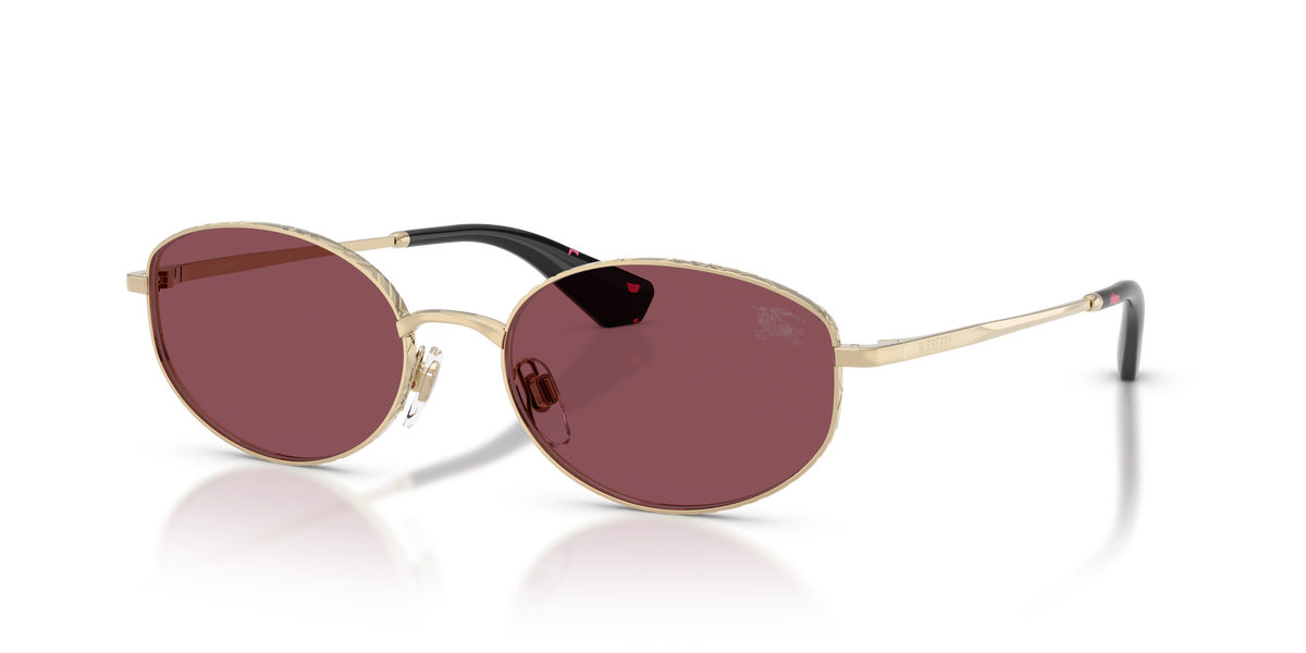 BE3169 - 11095Q sunglasses - view 8