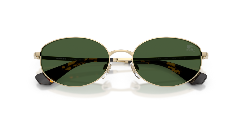 BE3169 - 110971 sunglasses - view 5