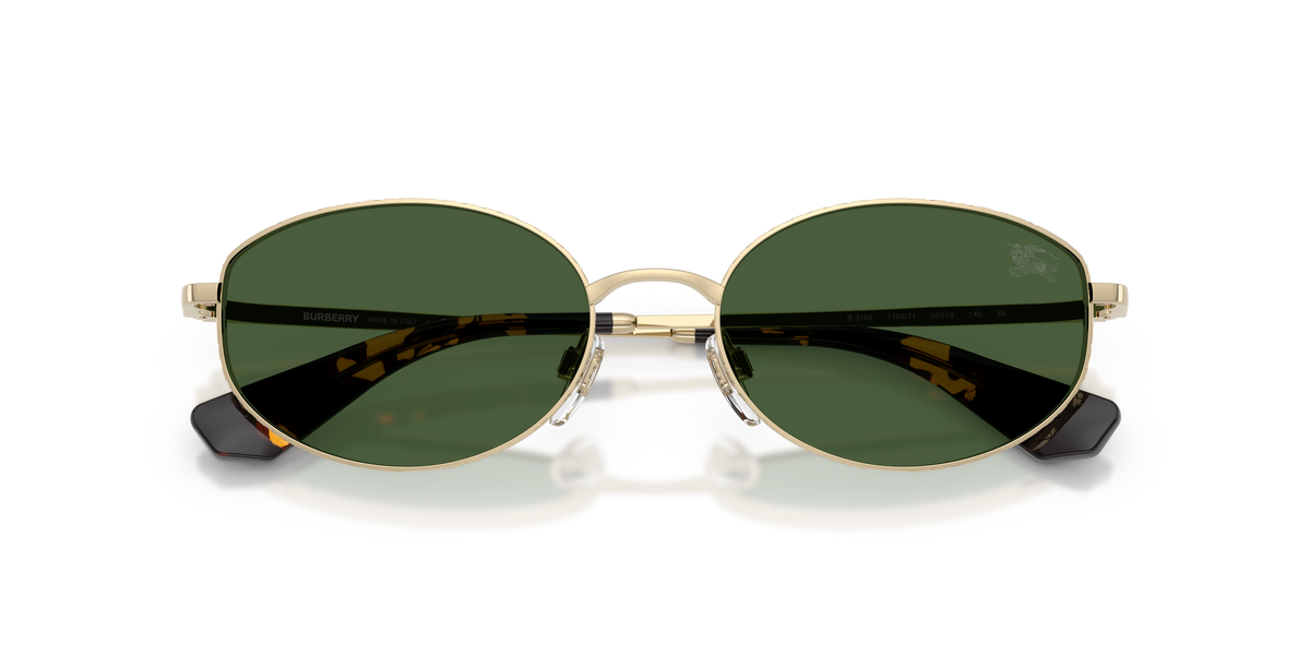 BE3169 - 110971 sunglasses - view 5