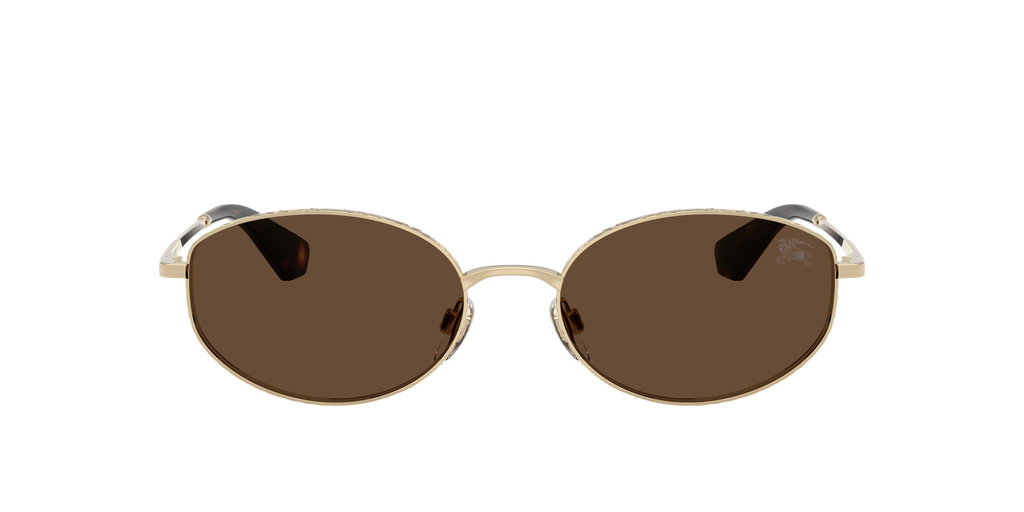 BE3169 - 110973 sunglasses - view 2