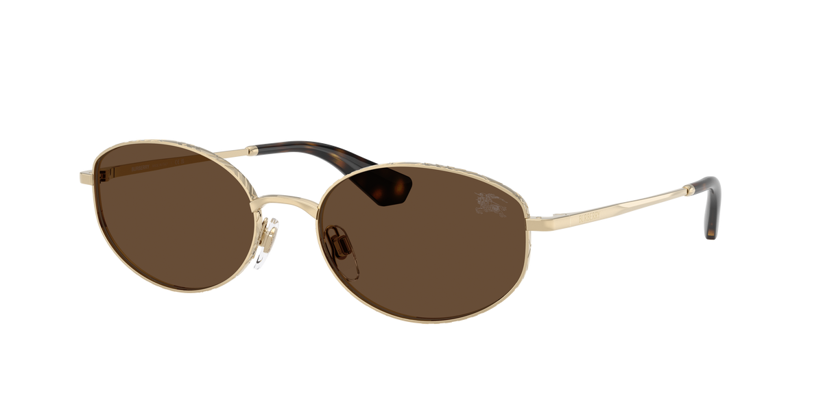 BE3169 - 110973 sunglasses - view 3