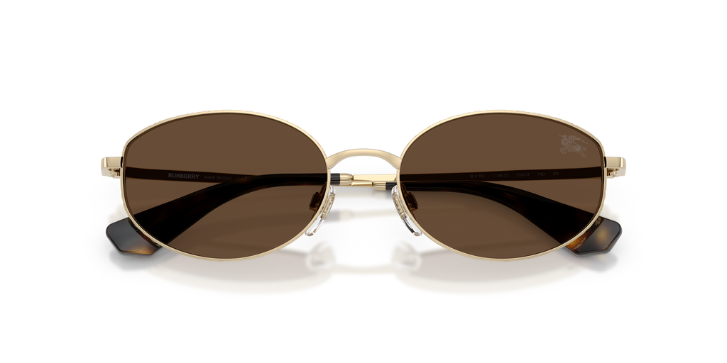 BE3169 - 110973 sunglasses - view 5