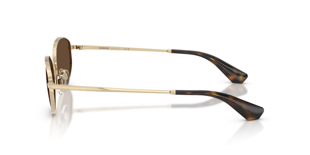 BE3169 - 110973 sunglasses - view 7