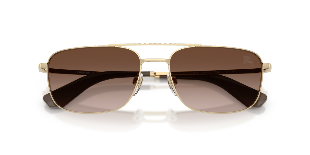 BE3170 - 110913 sunglasses - view 5