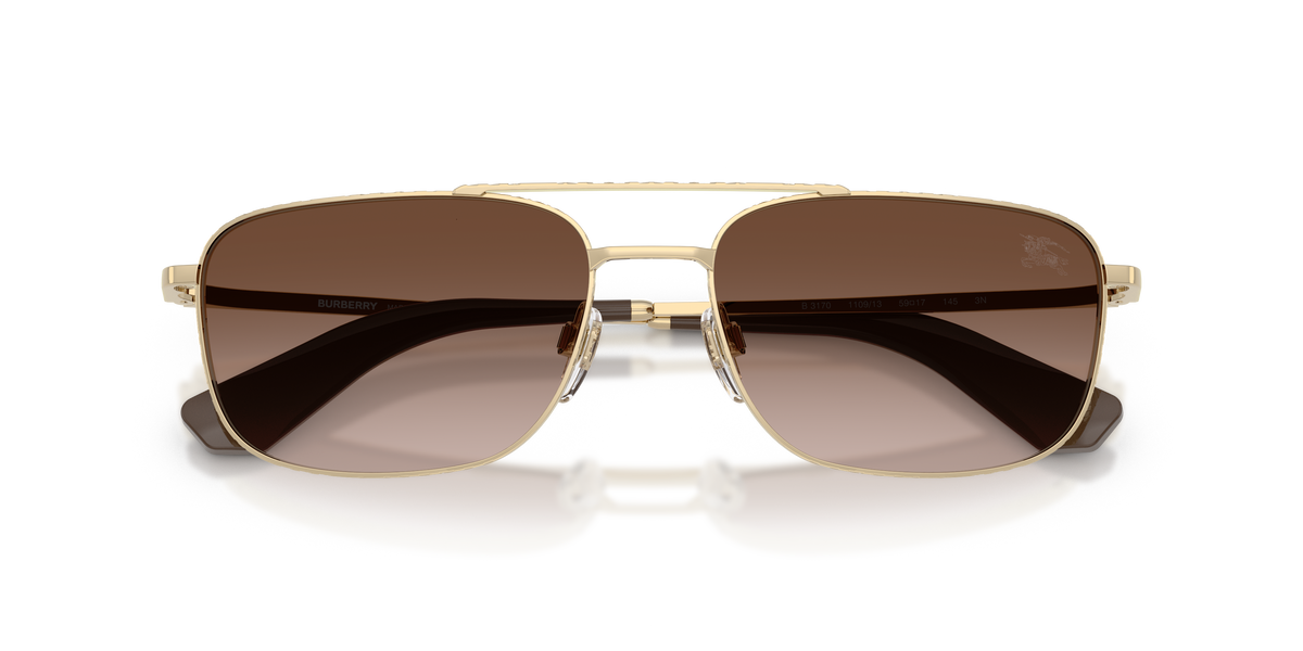 BE3170 - 110913 sunglasses - view 5