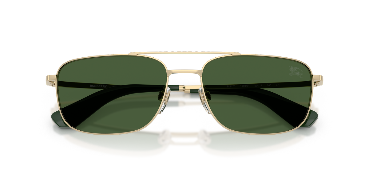 BE3170 - 110971 sunglasses - view 5