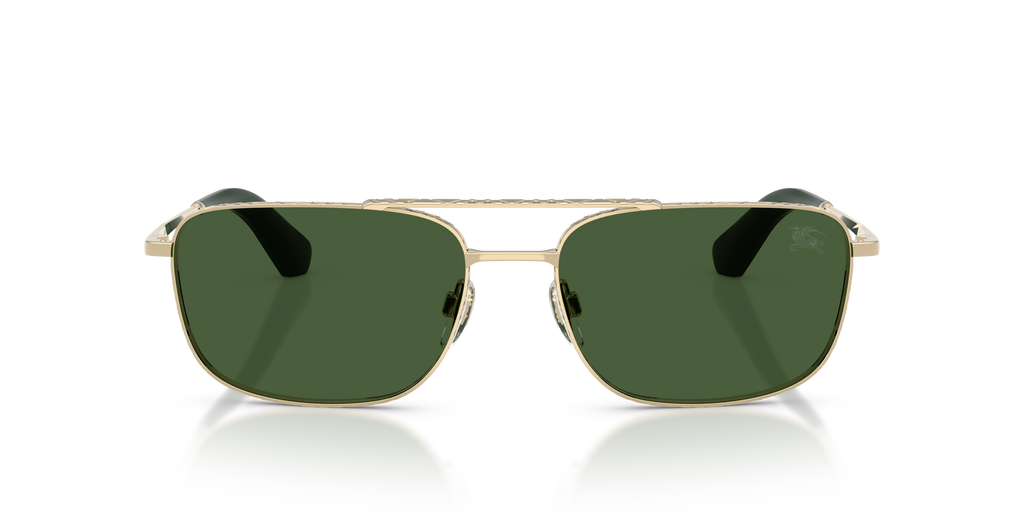 BE3170 - 110971 sunglasses - view 6