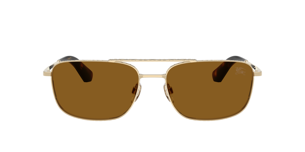 BE3170 - 110983 sunglasses - view 2