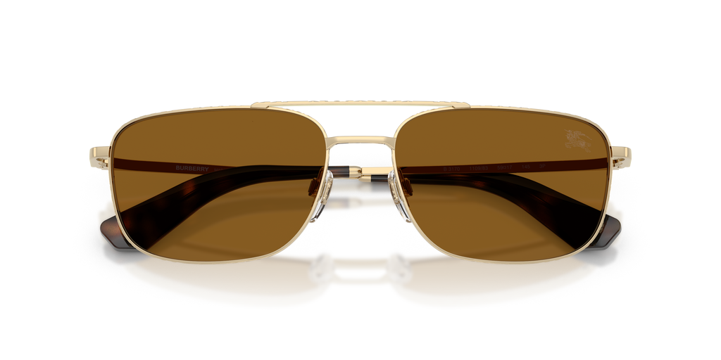 BE3170 - 110983 sunglasses - view 5