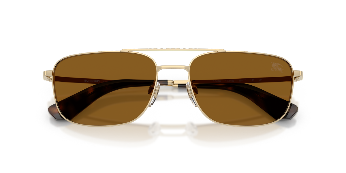 BE3170 - 110983 sunglasses - view 5