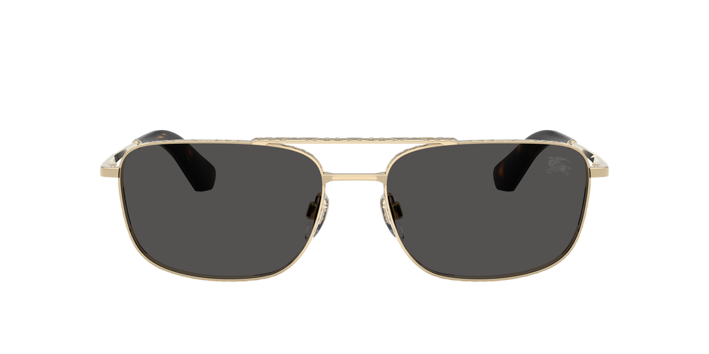 BE3170 - 110987 sunglasses - view 2