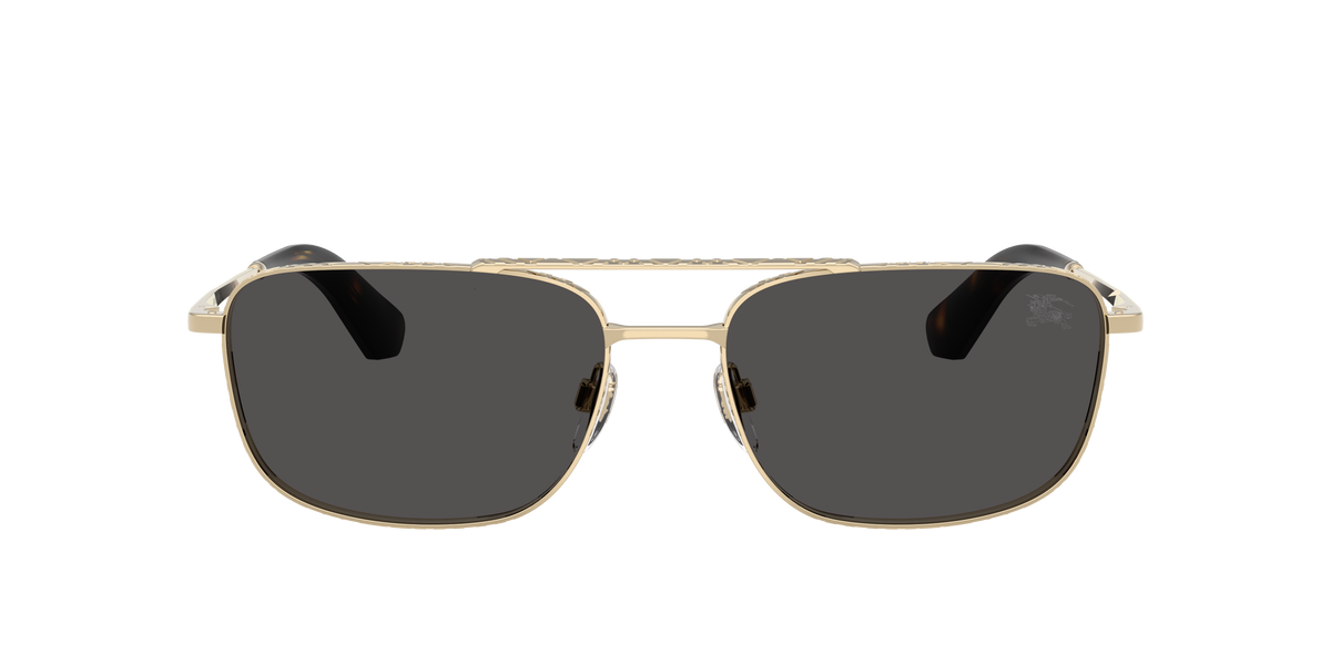 BE3170 - 110987 sunglasses - view 2
