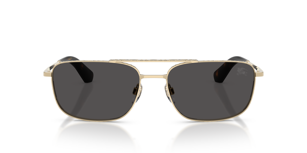 BE3170 - 110987 sunglasses - view 6
