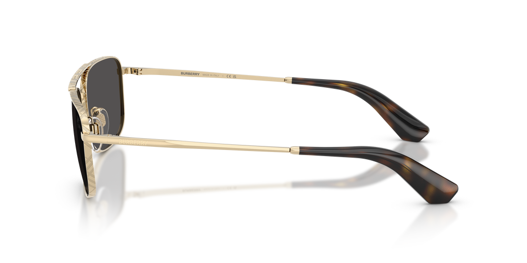 BE3170 - 110987 sunglasses - view 7