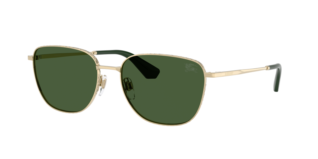 BE3171 - 110971 sunglasses - view 3