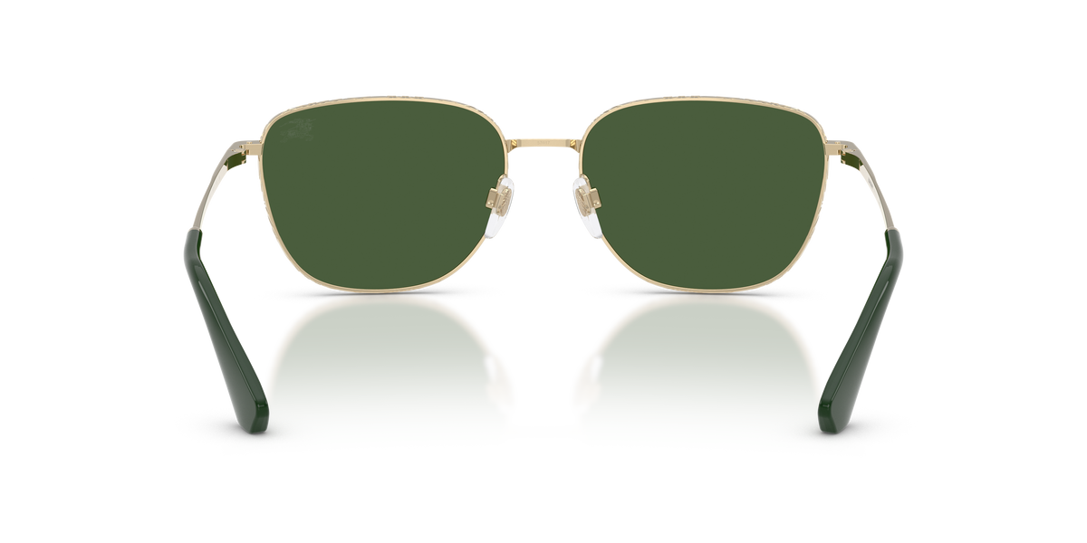 BE3171 - 110971 sunglasses - view 4