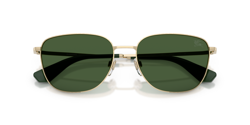 BE3171 - 110971 sunglasses - view 5