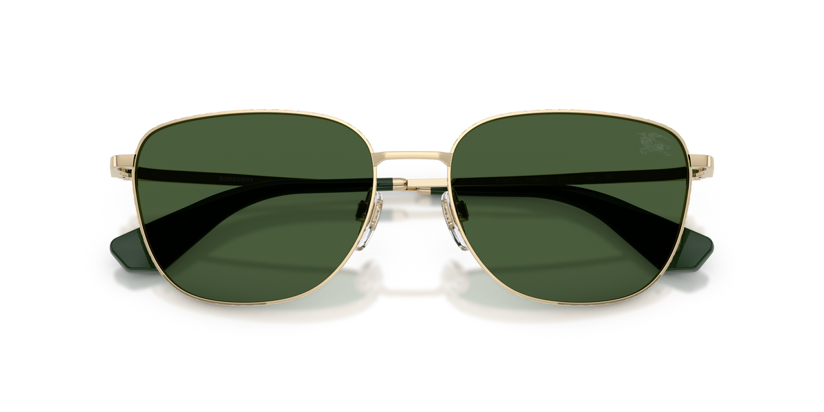 BE3171 - 110971 sunglasses - view 5
