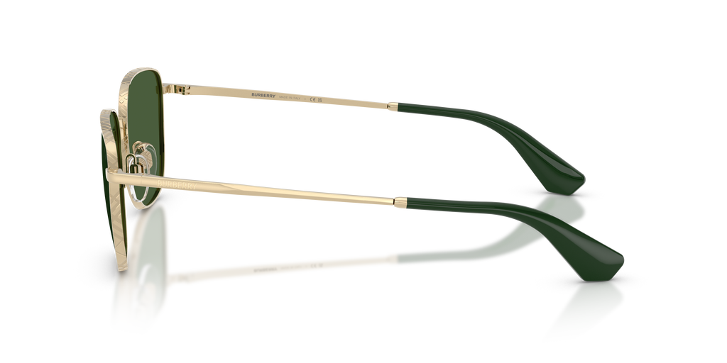 BE3171 - 110971 sunglasses - view 7
