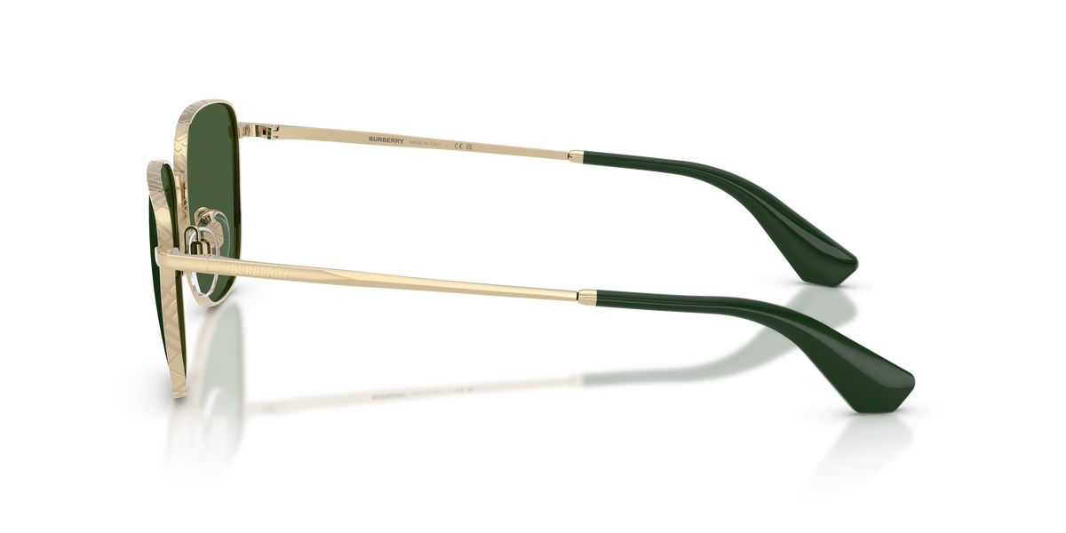 BE3171 - 110971 sunglasses - view 7