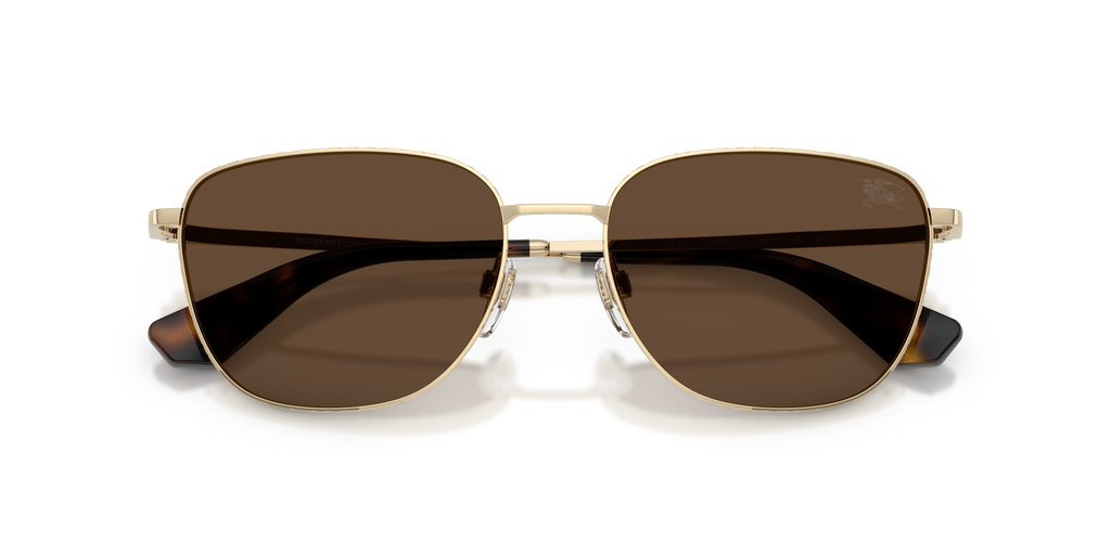 BE3171 - 110973 sunglasses - view 5