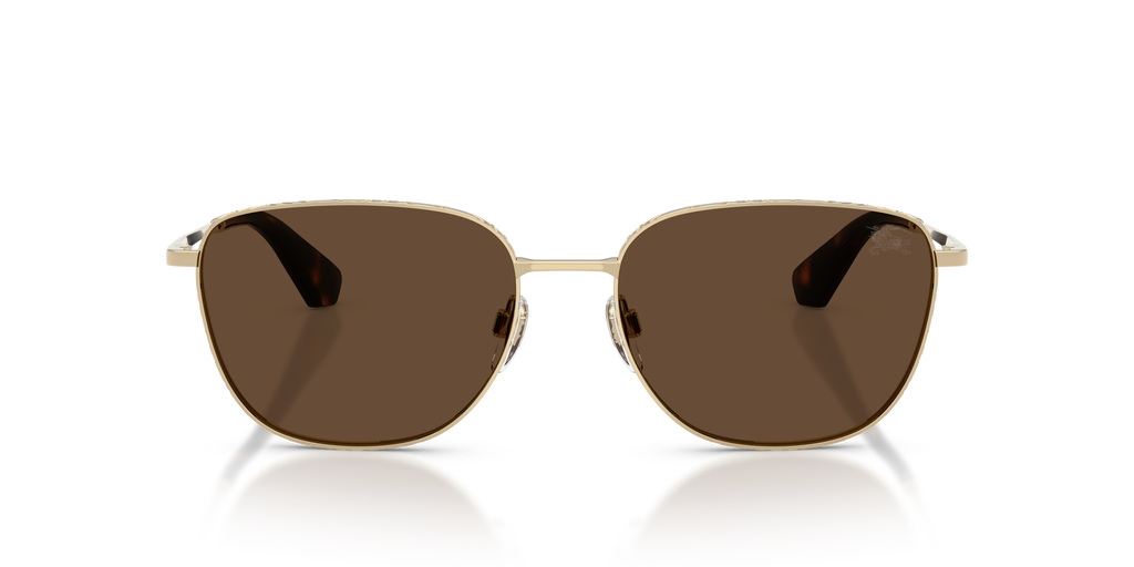 BE3171 - 110973 sunglasses - view 6
