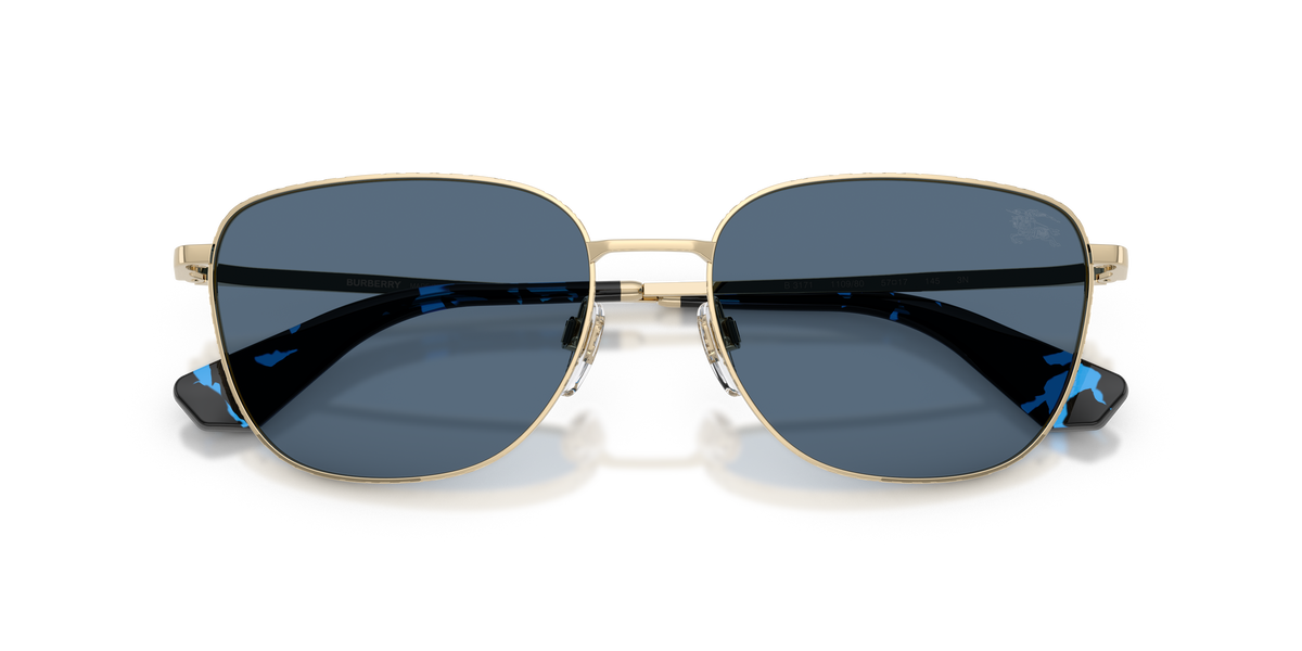 BE3171 - 110980 sunglasses - view 5