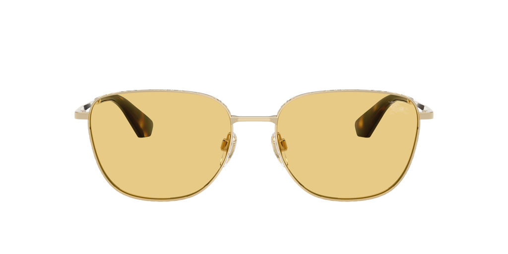 BE3171 - 110985 sunglasses - view 2