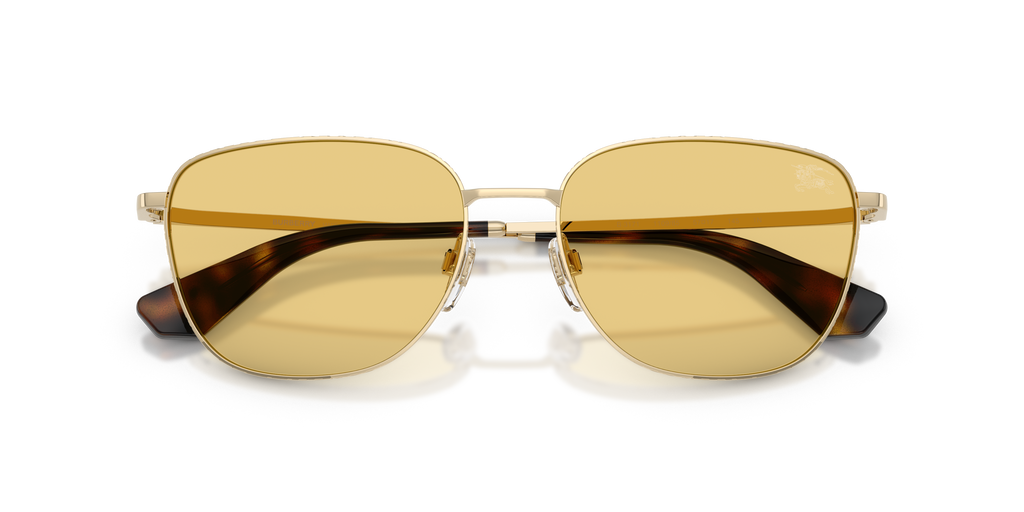 BE3171 - 110985 sunglasses - view 5