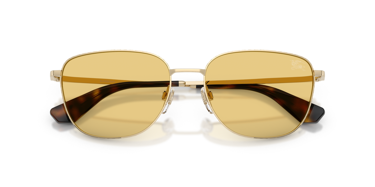BE3171 - 110985 sunglasses - view 5