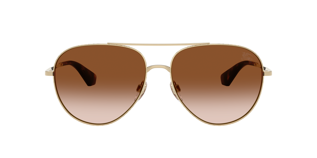 BE3172 - 110913 sunglasses - view 2