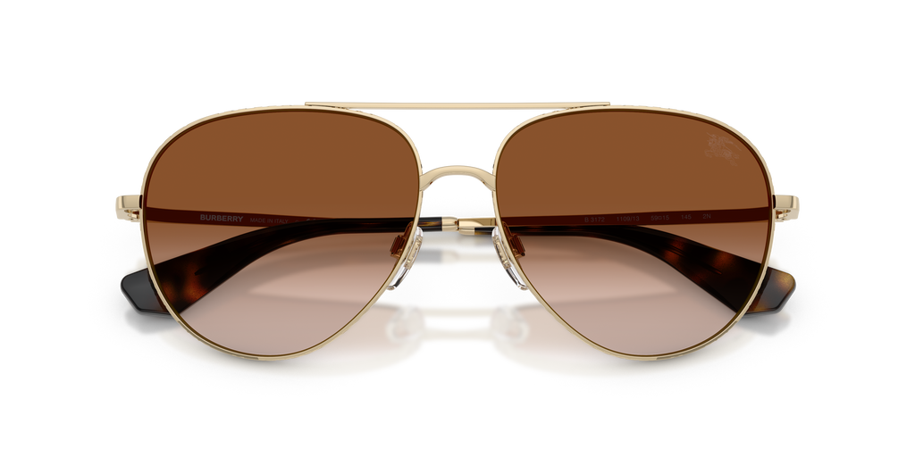 BE3172 - 110913 sunglasses - view 5