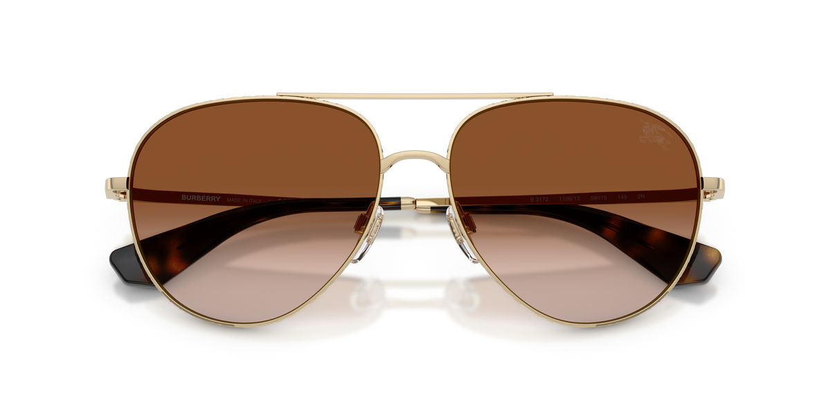 BE3172 - 110913 sunglasses - view 5