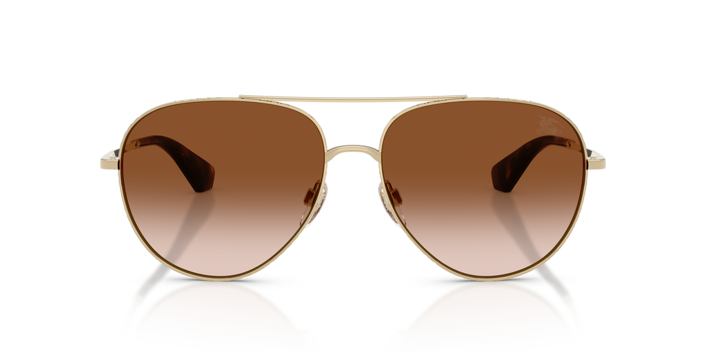 BE3172 - 110913 sunglasses - view 6