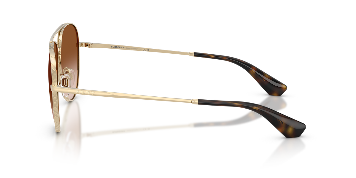 BE3172 - 110913 sunglasses - view 7
