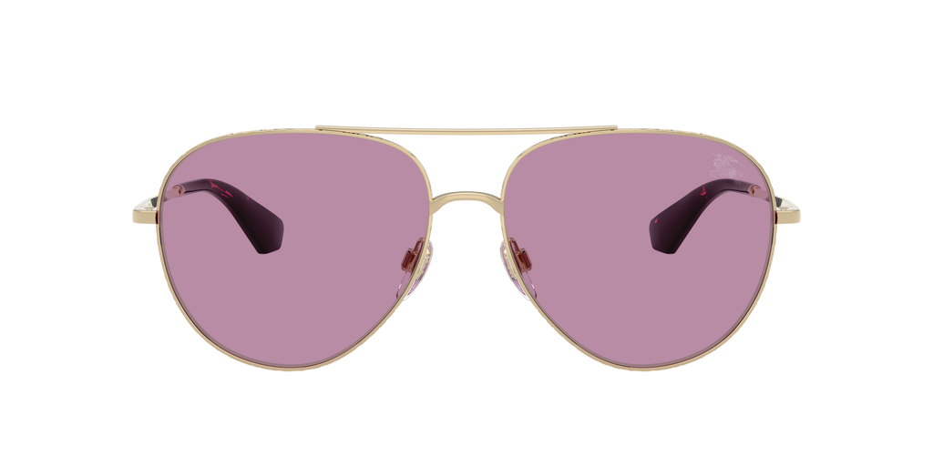 BE3172 - 110969 sunglasses - view 2