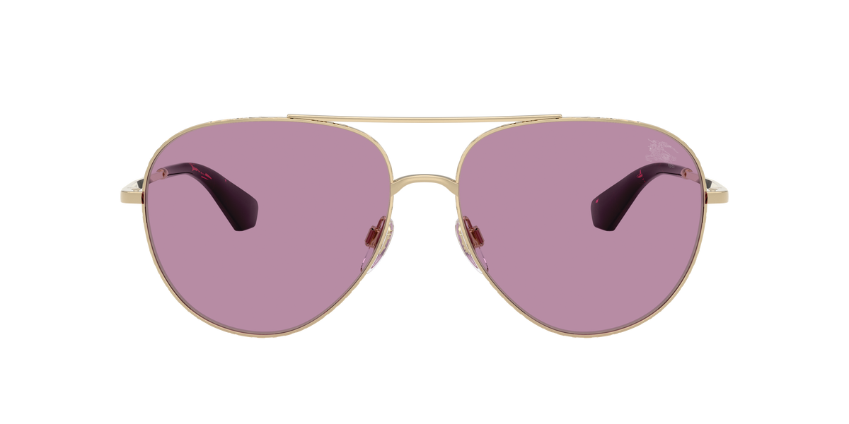 BE3172 - 110969 sunglasses - view 2