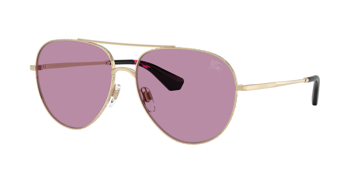 BE3172 - 110969 sunglasses - view 3