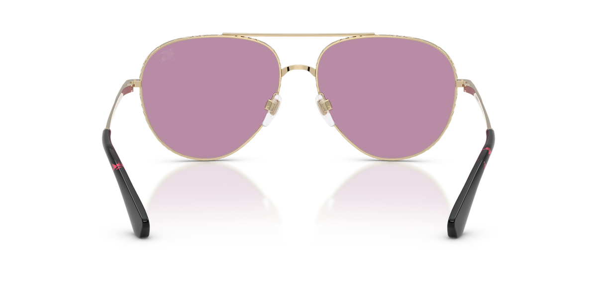 BE3172 - 110969 sunglasses - view 4