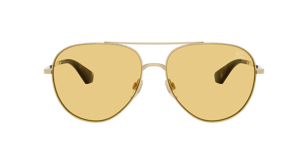 BE3172 - 110985 sunglasses - view 2