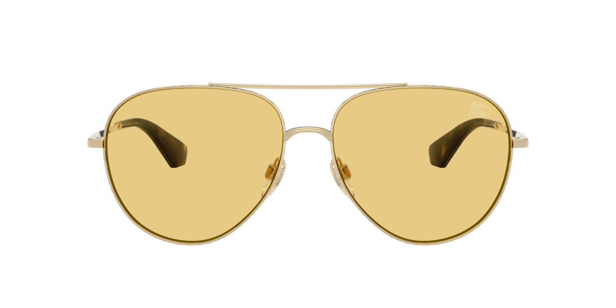 BE3172 - 110985 sunglasses - view 2