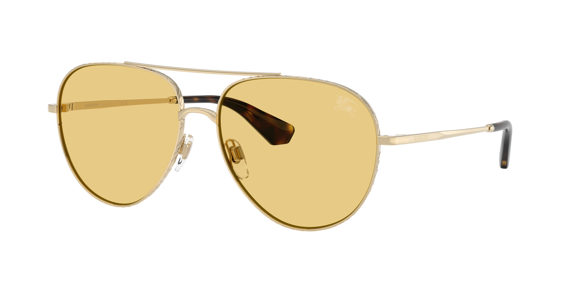 BE3172 - 110985 sunglasses - view 3