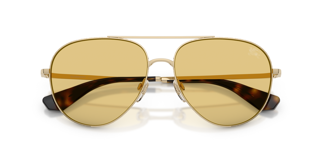BE3172 - 110985 sunglasses - view 5