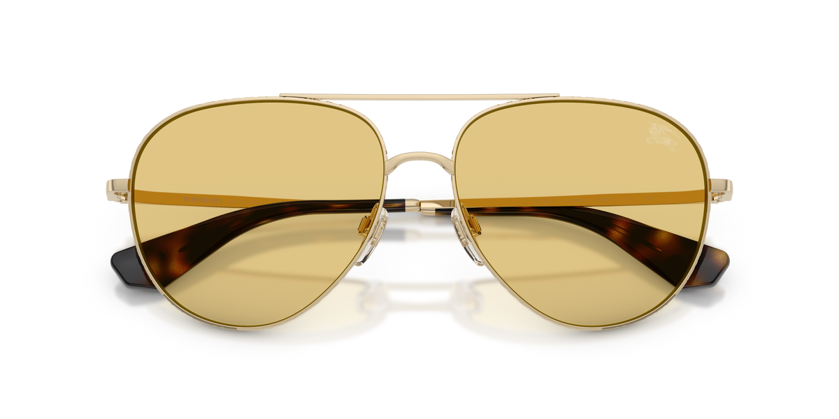 BE3172 - 110985 sunglasses - view 5